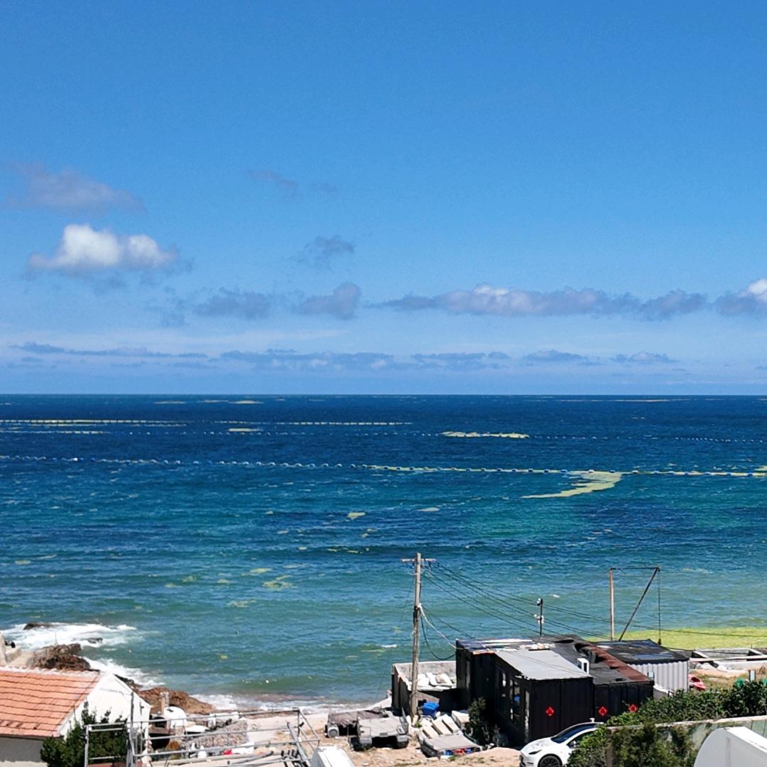 99年的猴子你腚最红🐒