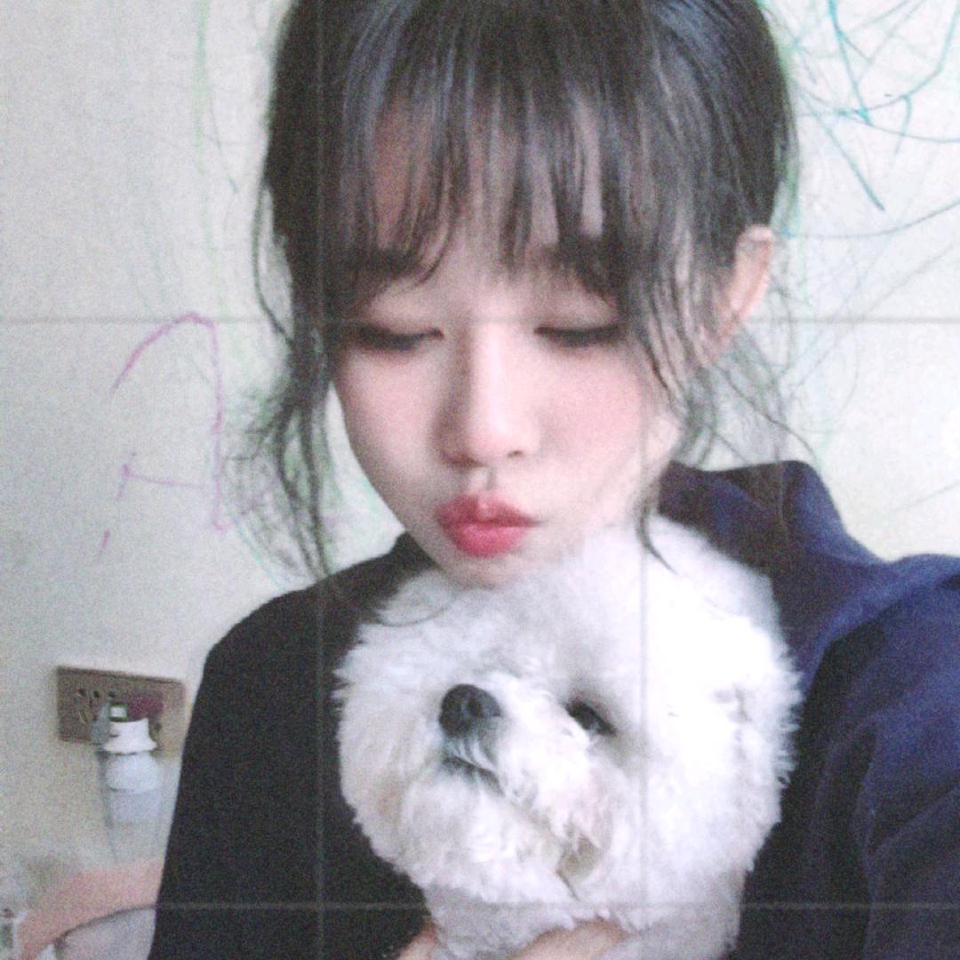 🦊  （柴火火🔥）