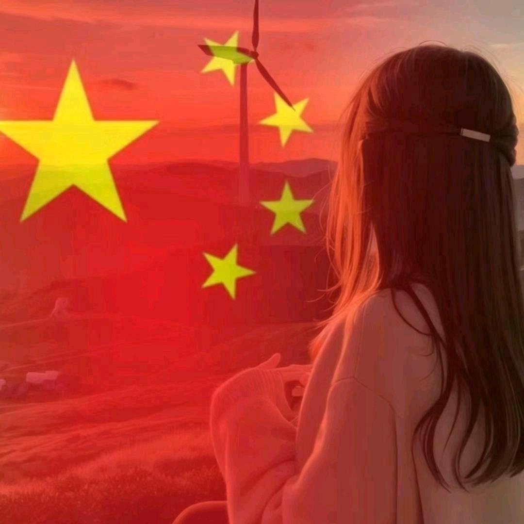 卖板材的小姐姐