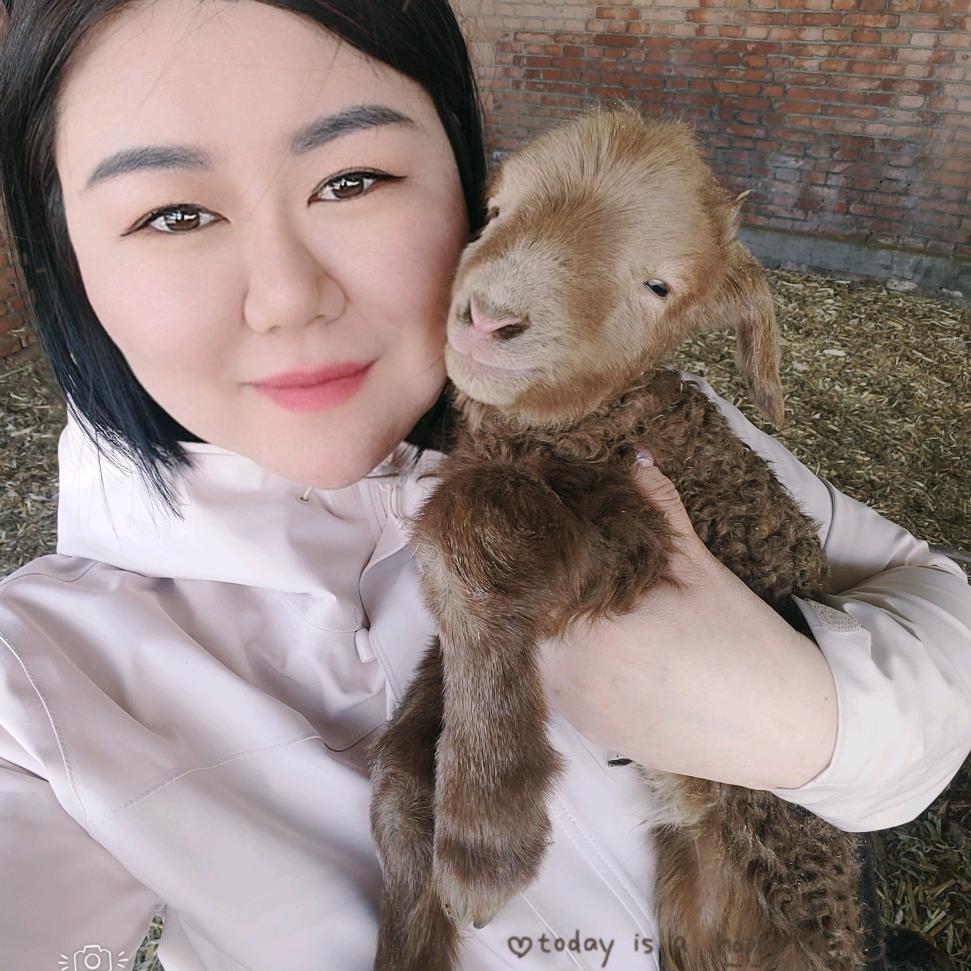 内蒙羊肉特产批发