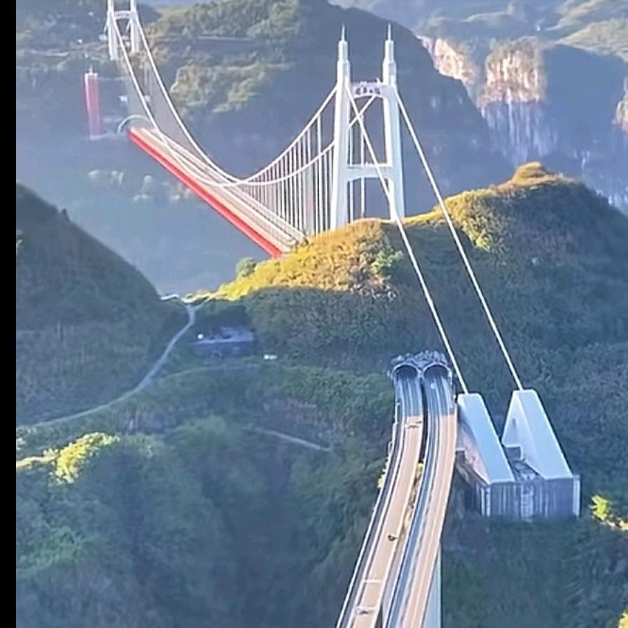自由飞翔