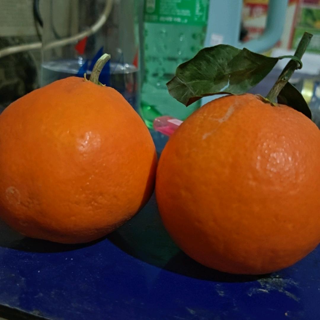 爱你到永远........神秘人