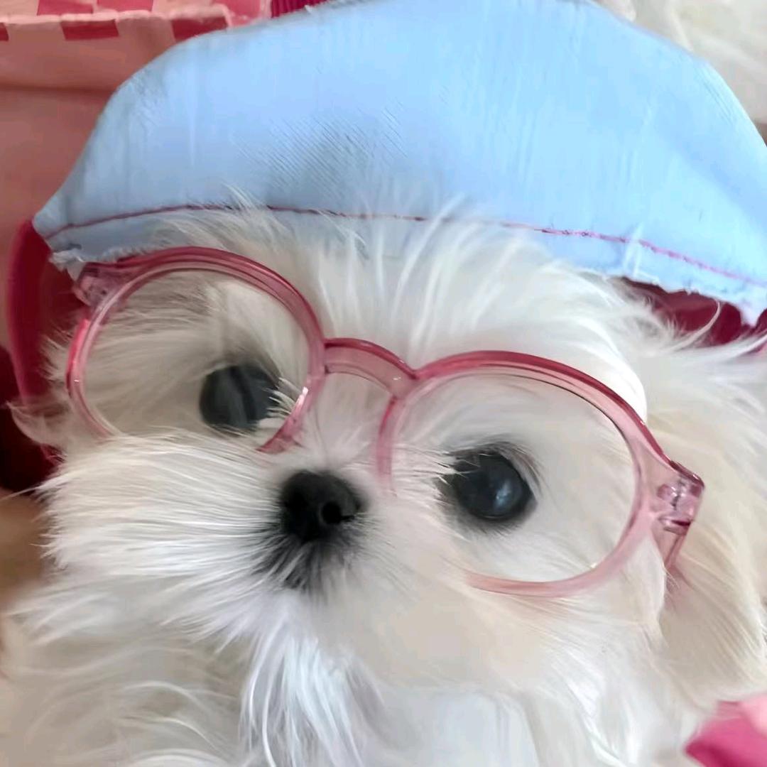 咪豆diy手工制品2号