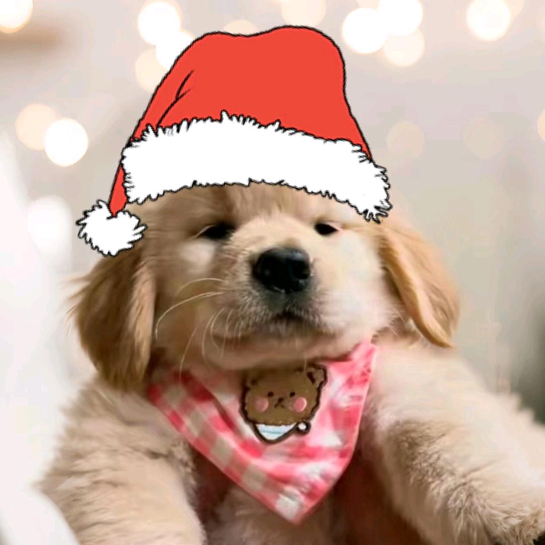 不会魔法的女巫