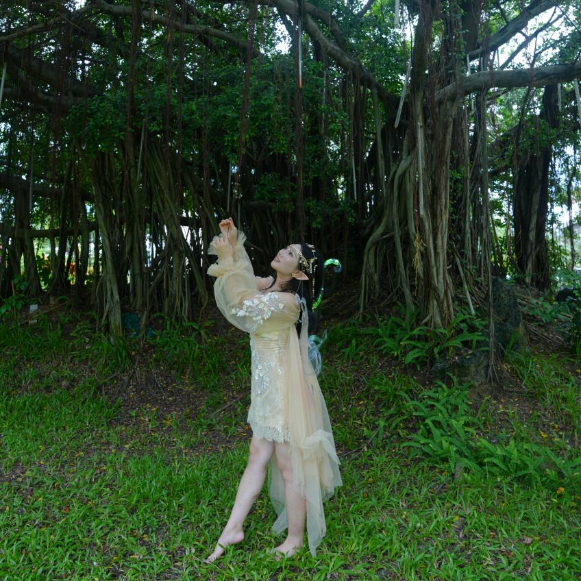 雾里看花🌵.