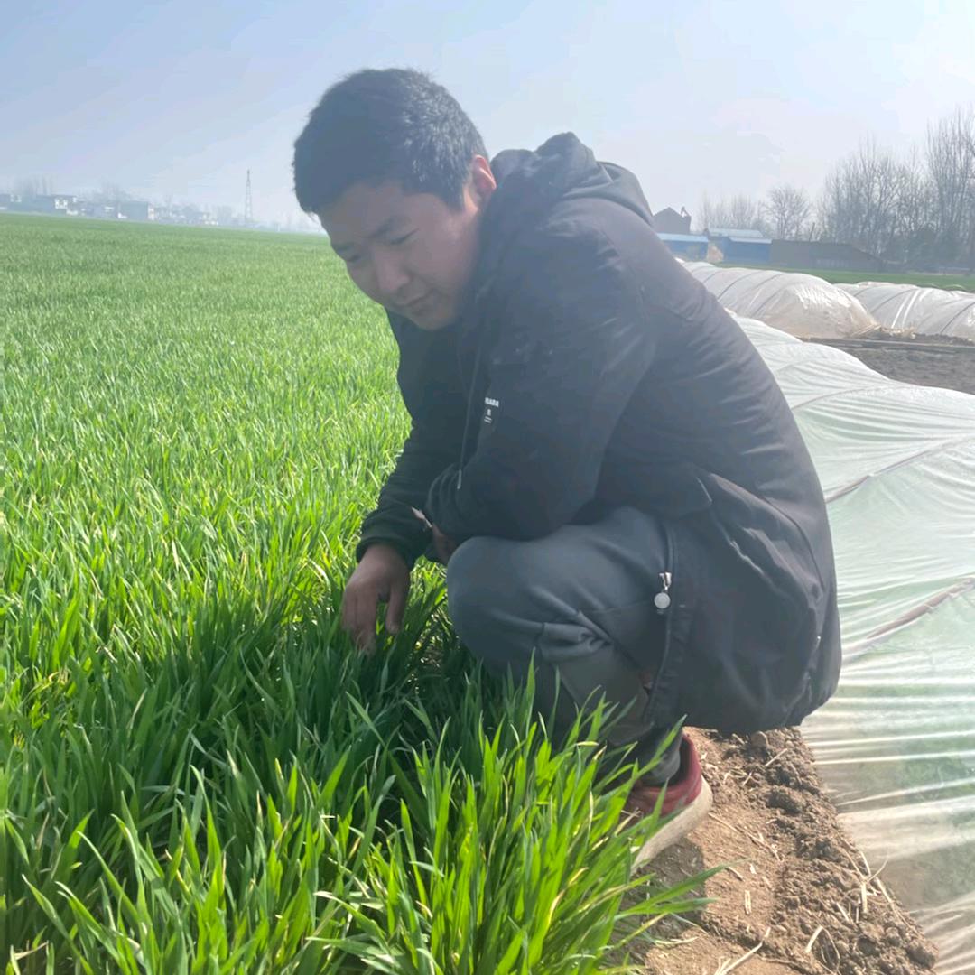 邢庄粮食农资站植保飞防