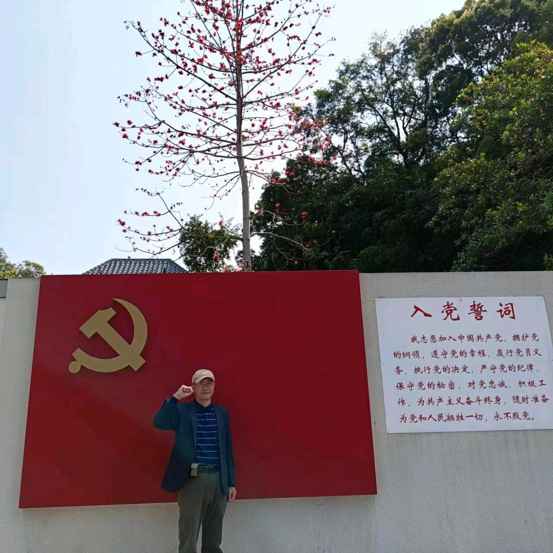 晨光95784