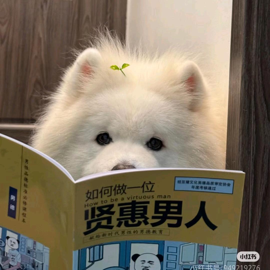 橙子！