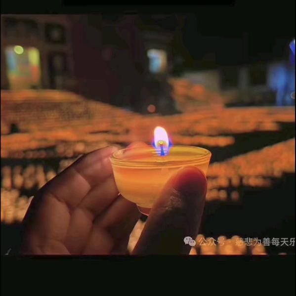 索☘️