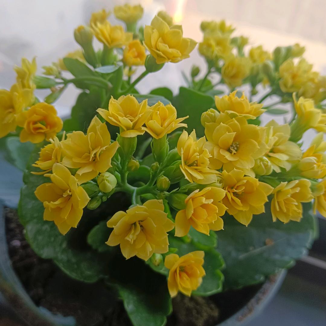 @꧁💞余生随心💞᪲꧂