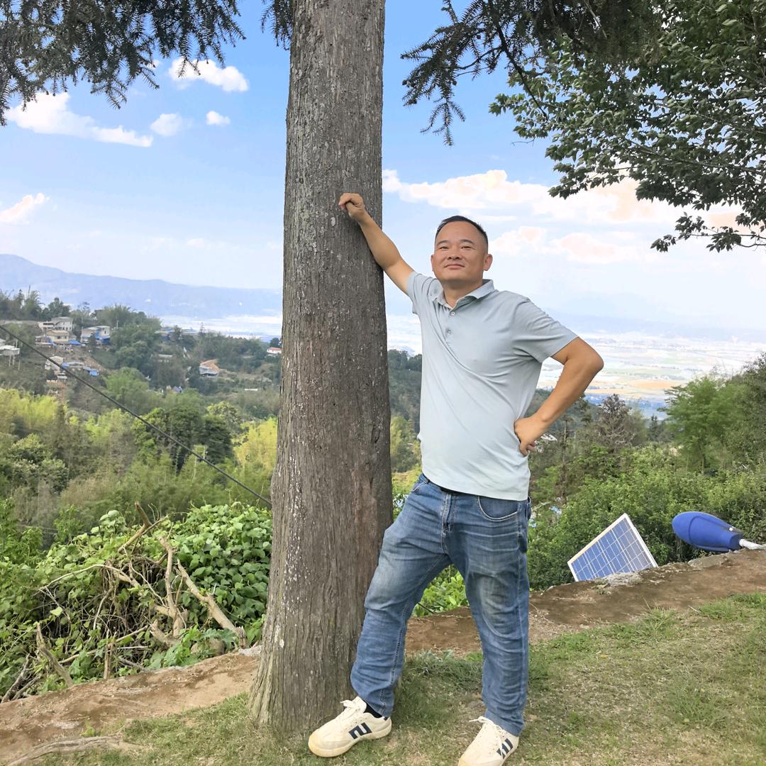 梁先生-没有太烦恼