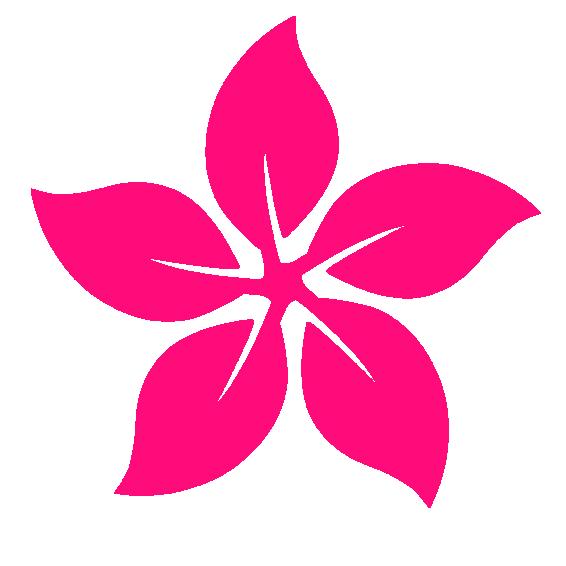 经纬之声