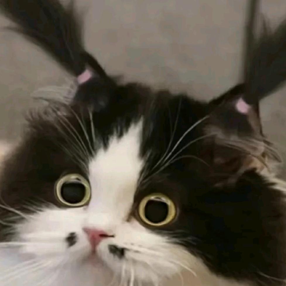 一败涂地的主包