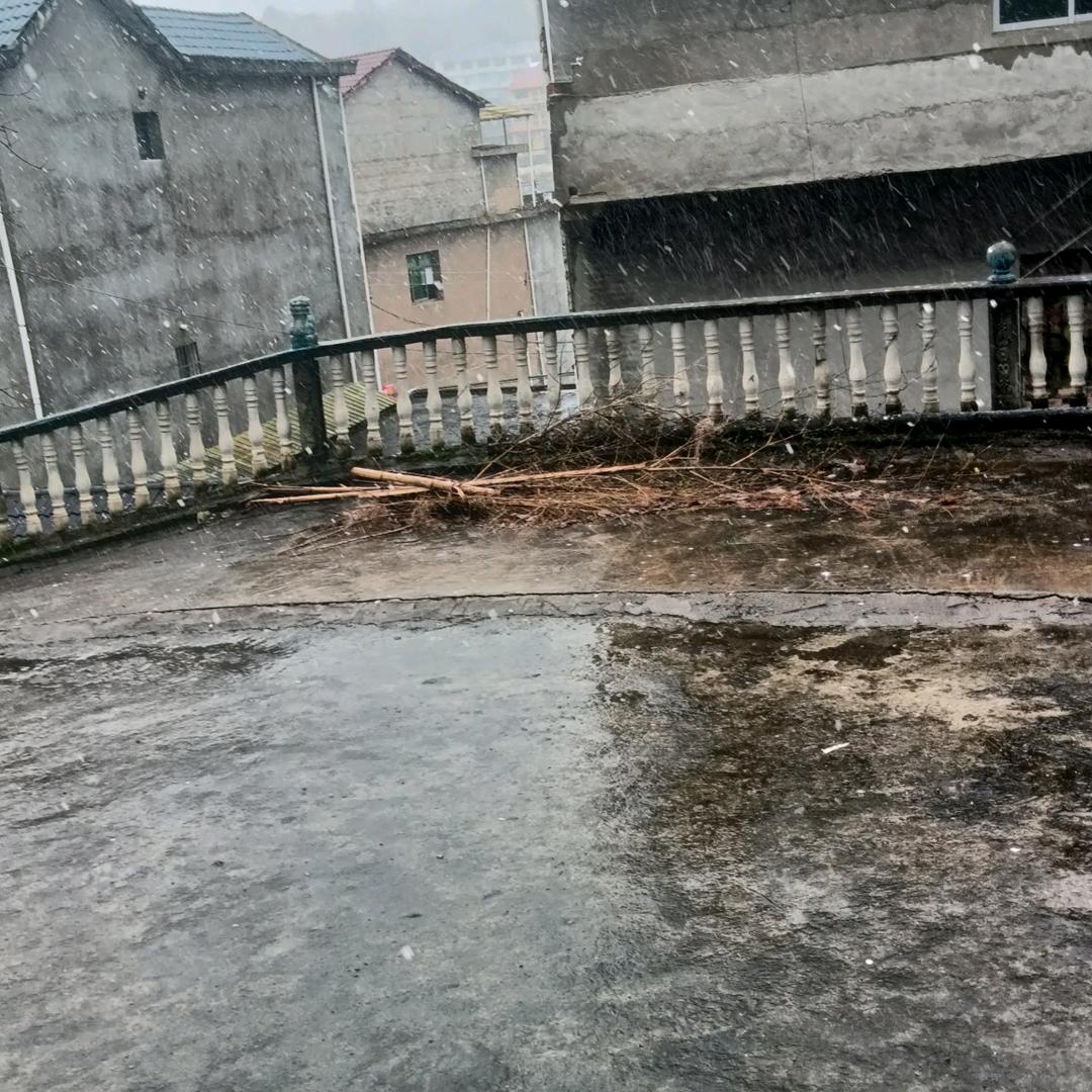 余哥