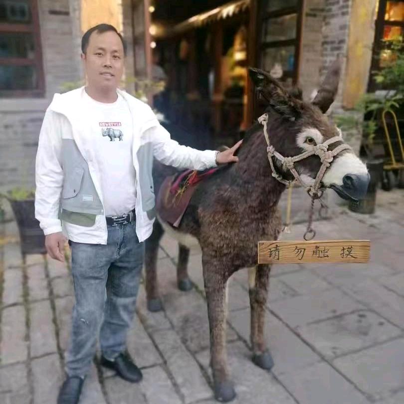 为了爱情受了伤