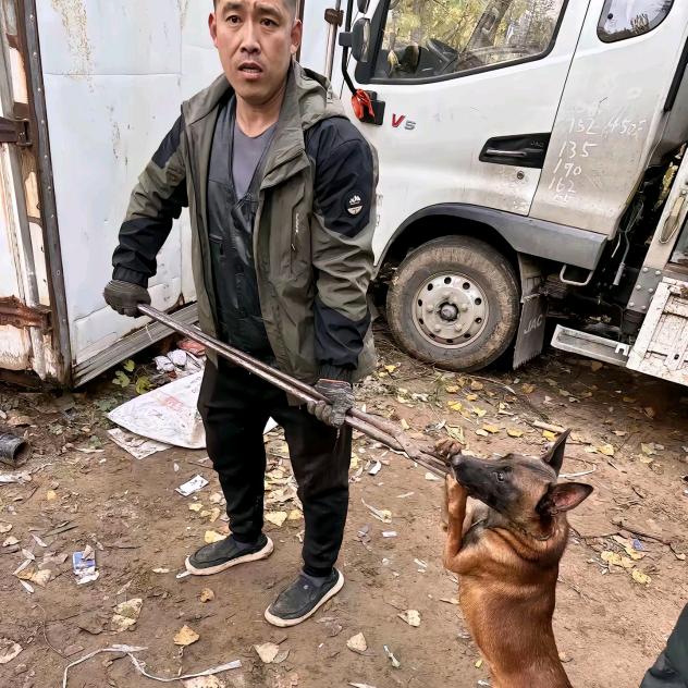 AAA专业套狗权师傅（杭州免费上门）