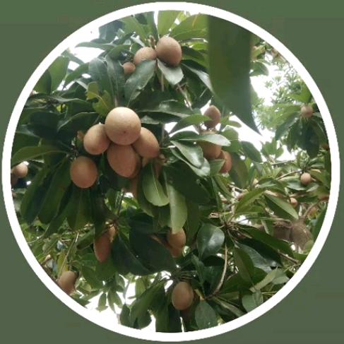 ※※人生靠自己※※