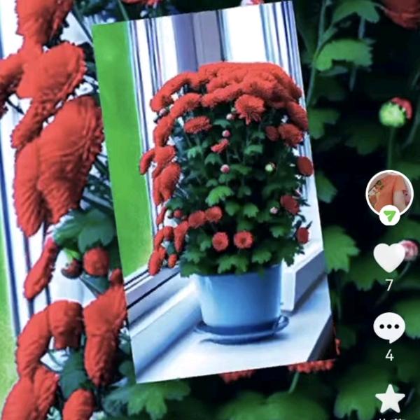 回收餐具废油蔡