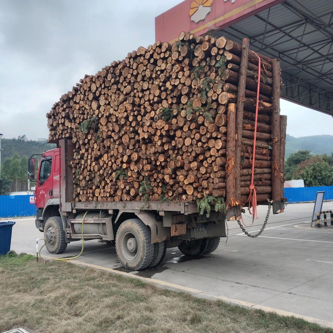 桂R17887拉木头