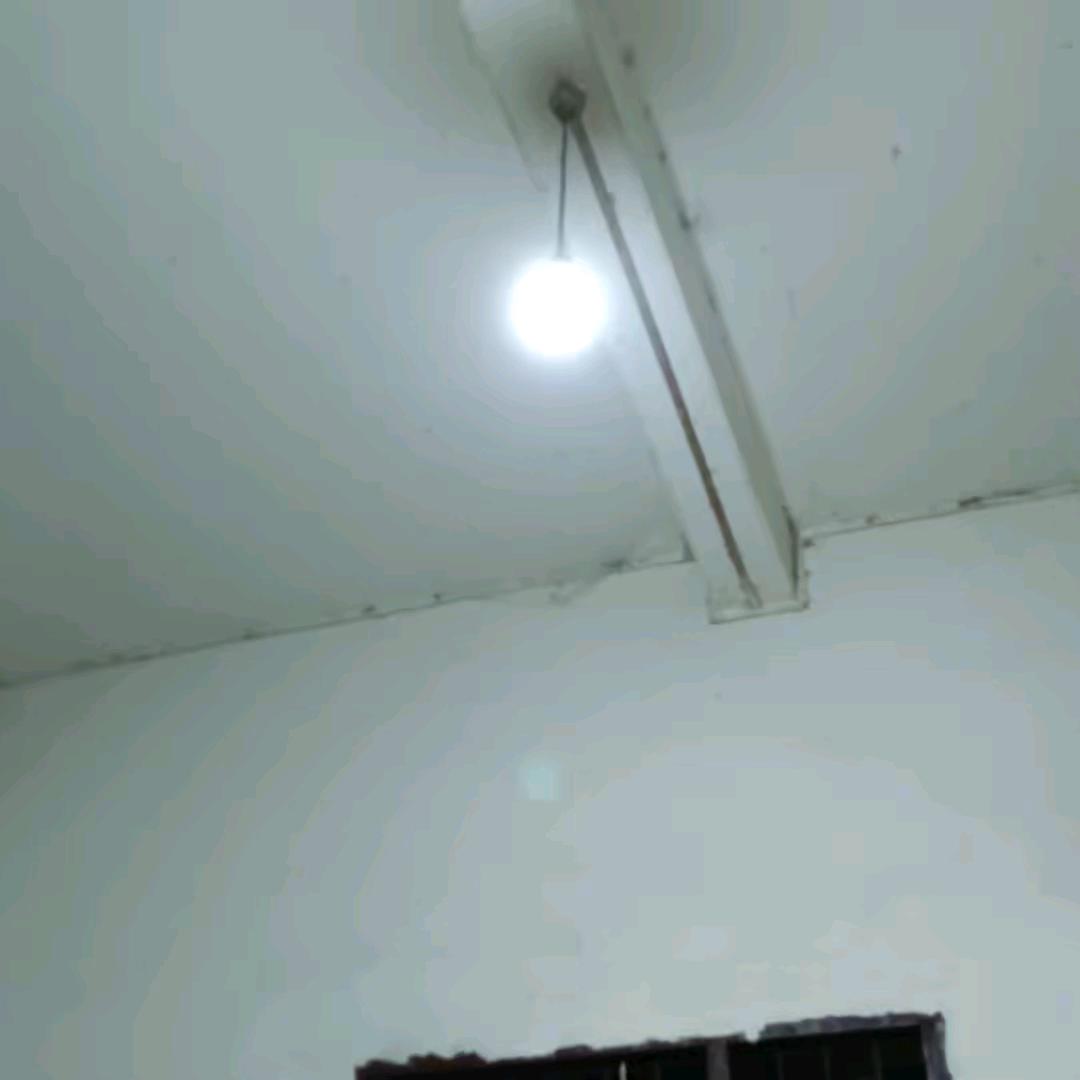 梅桂花