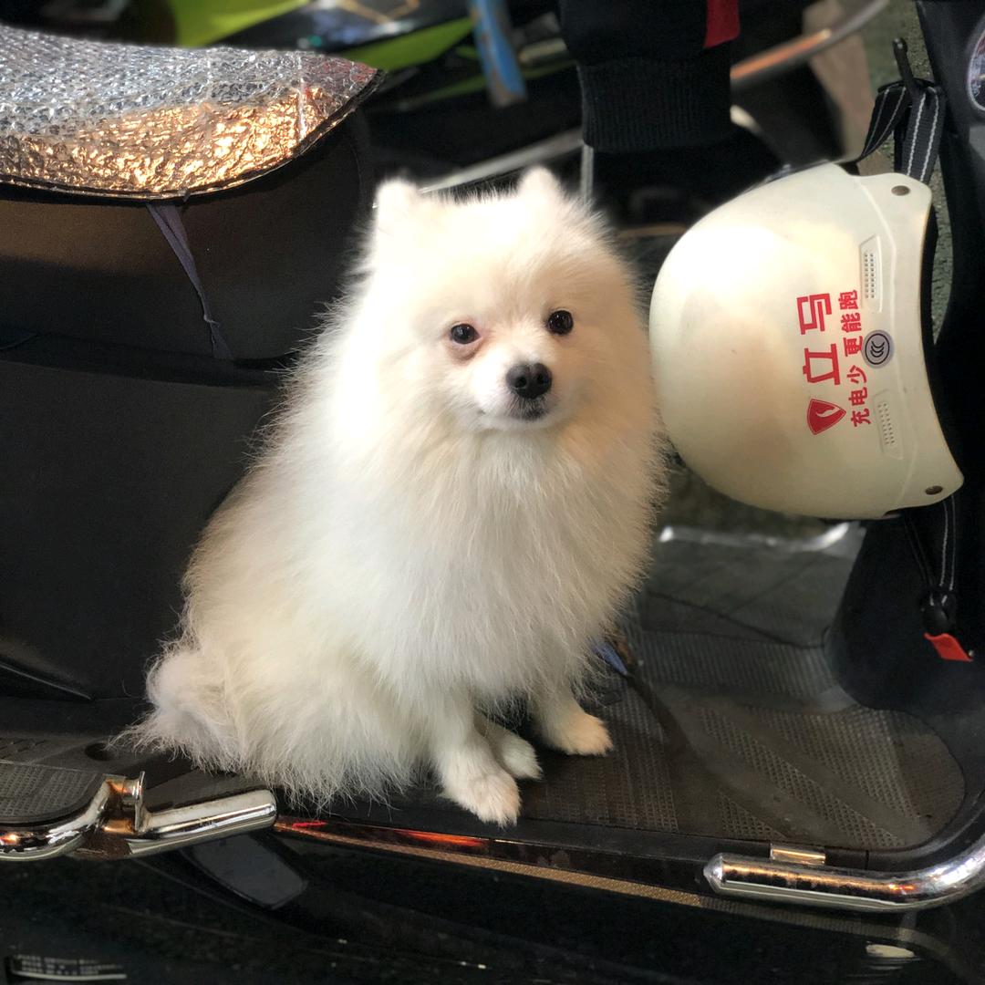 是小李啊