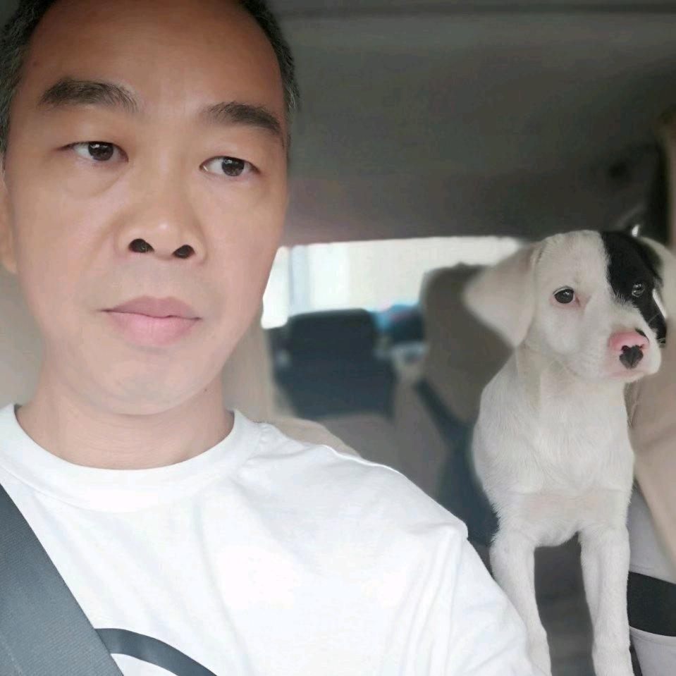 Google外贸独立站SEO