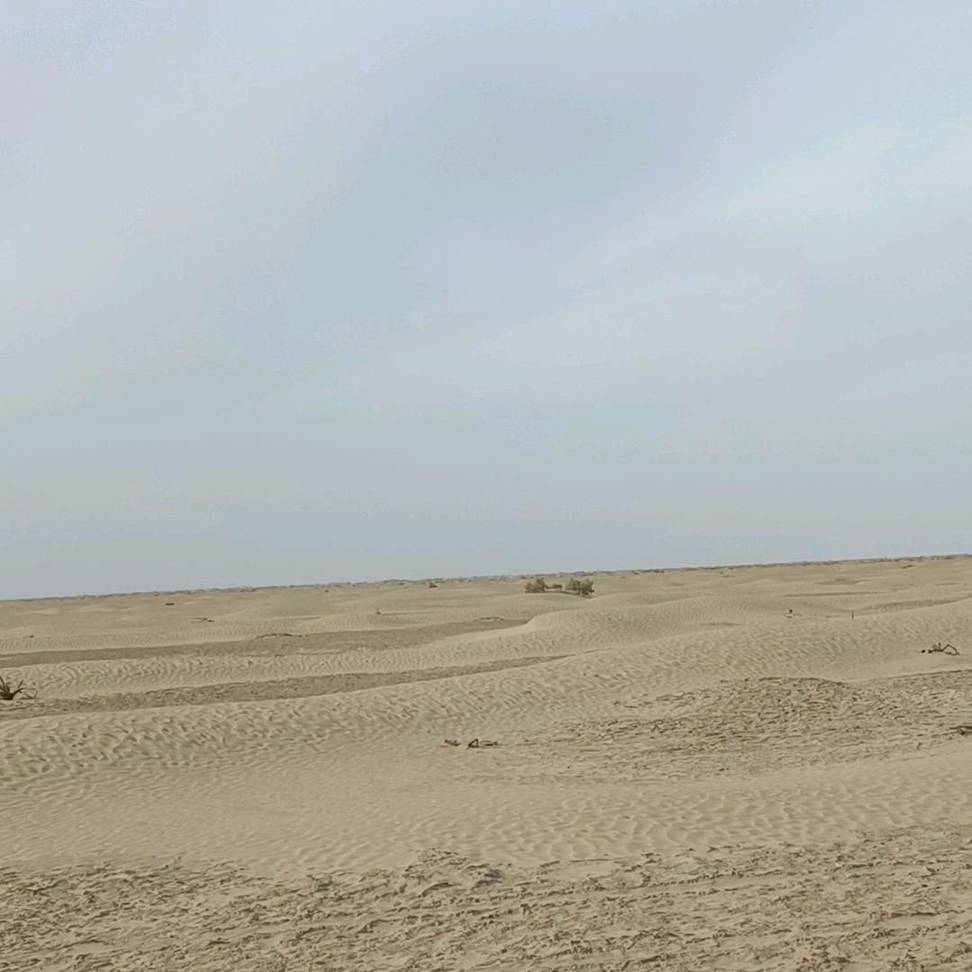 沙漠守望者