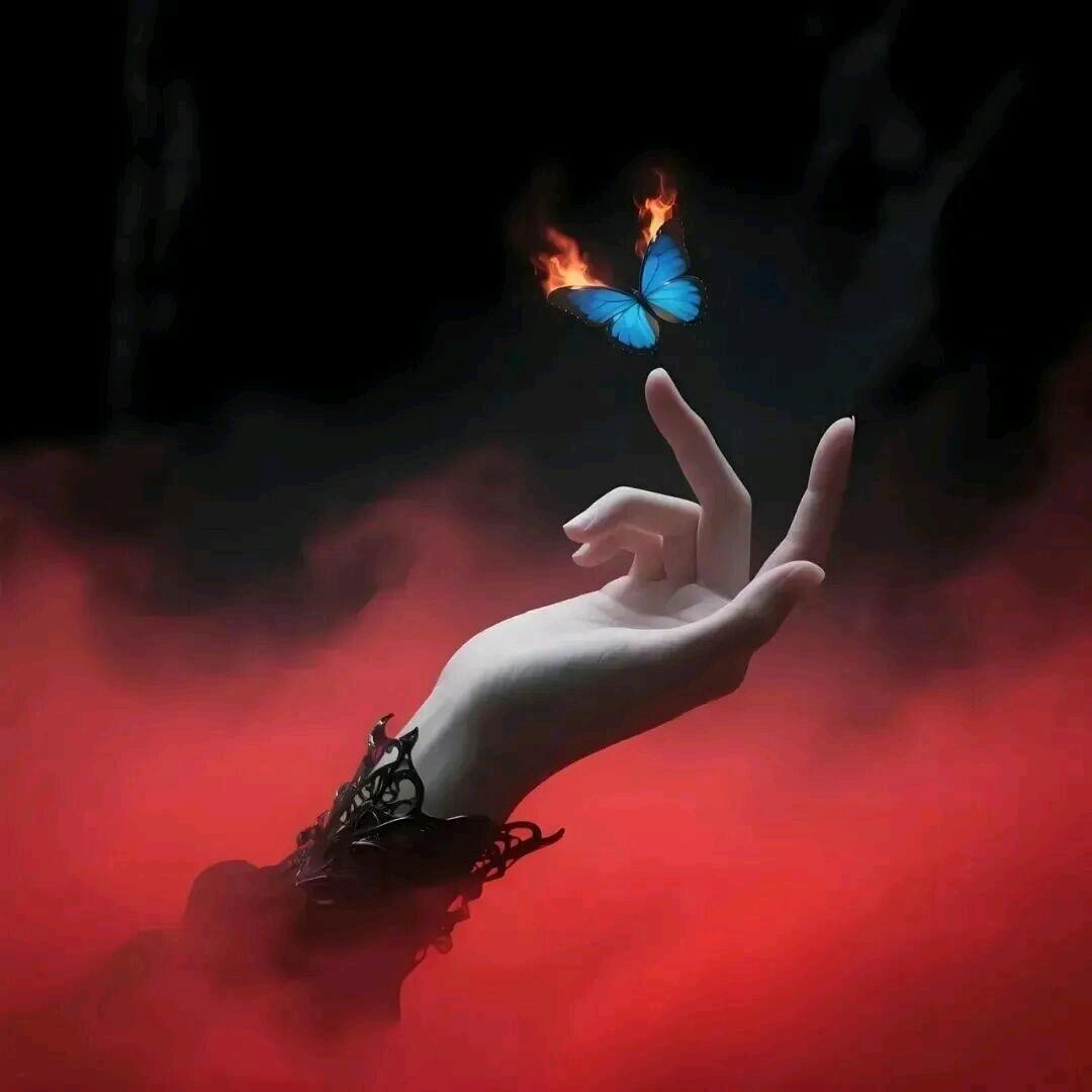 @ꦿ໊余生᭄🕊随心᭄ꦿᩚ٭