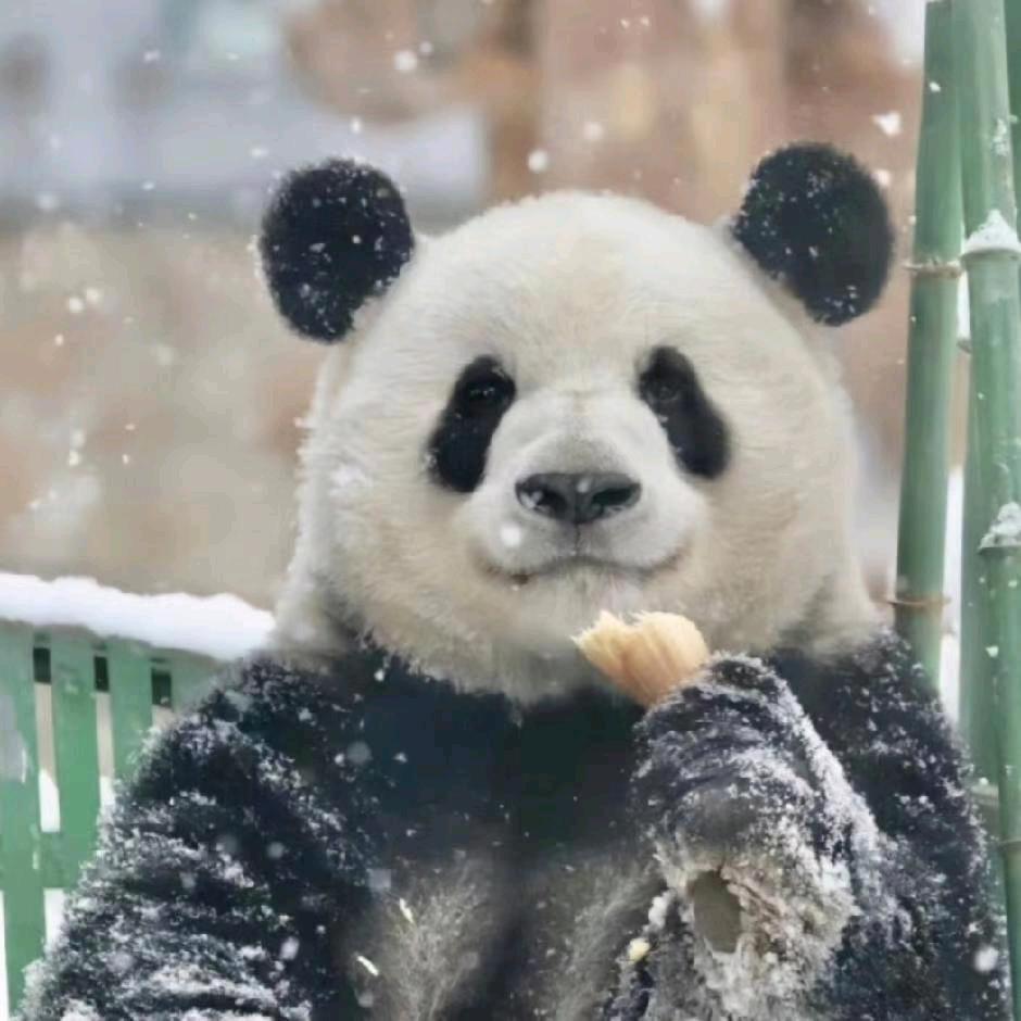 流动能源贩售机