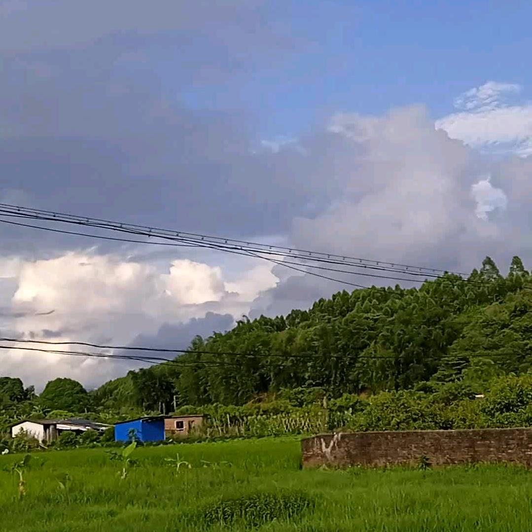 都哥旧影