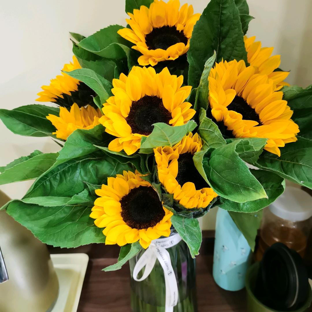 壹贰叁肆伍陆⑦