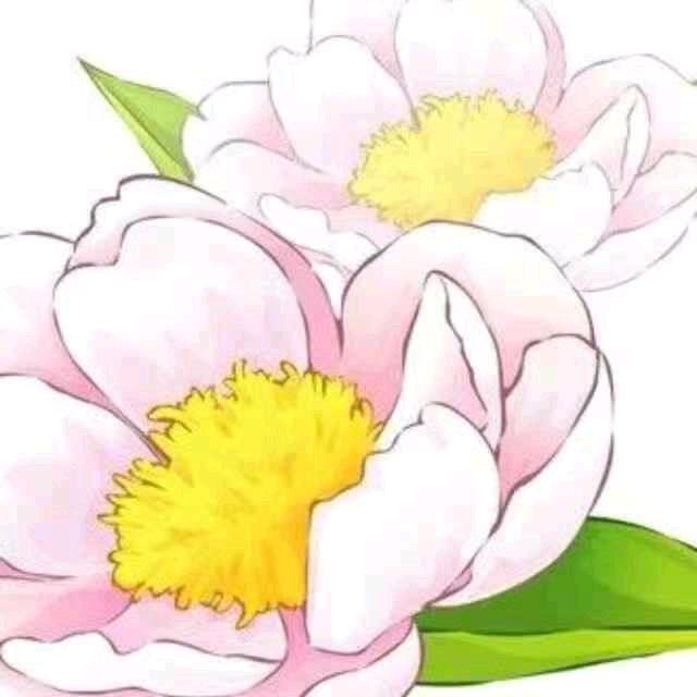 ✨💎💎香格里拉🍺🍺