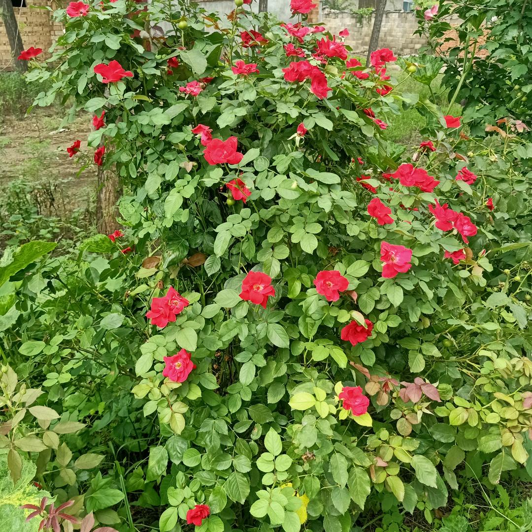 万水千山总是情