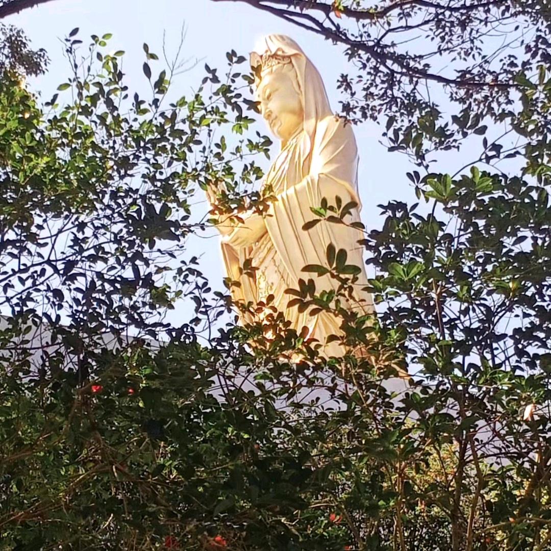 📿️净尘📿️