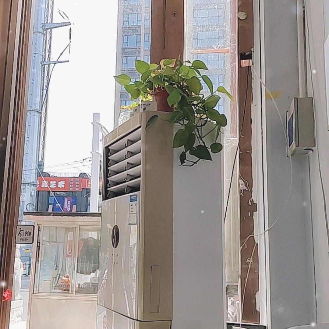 老唐