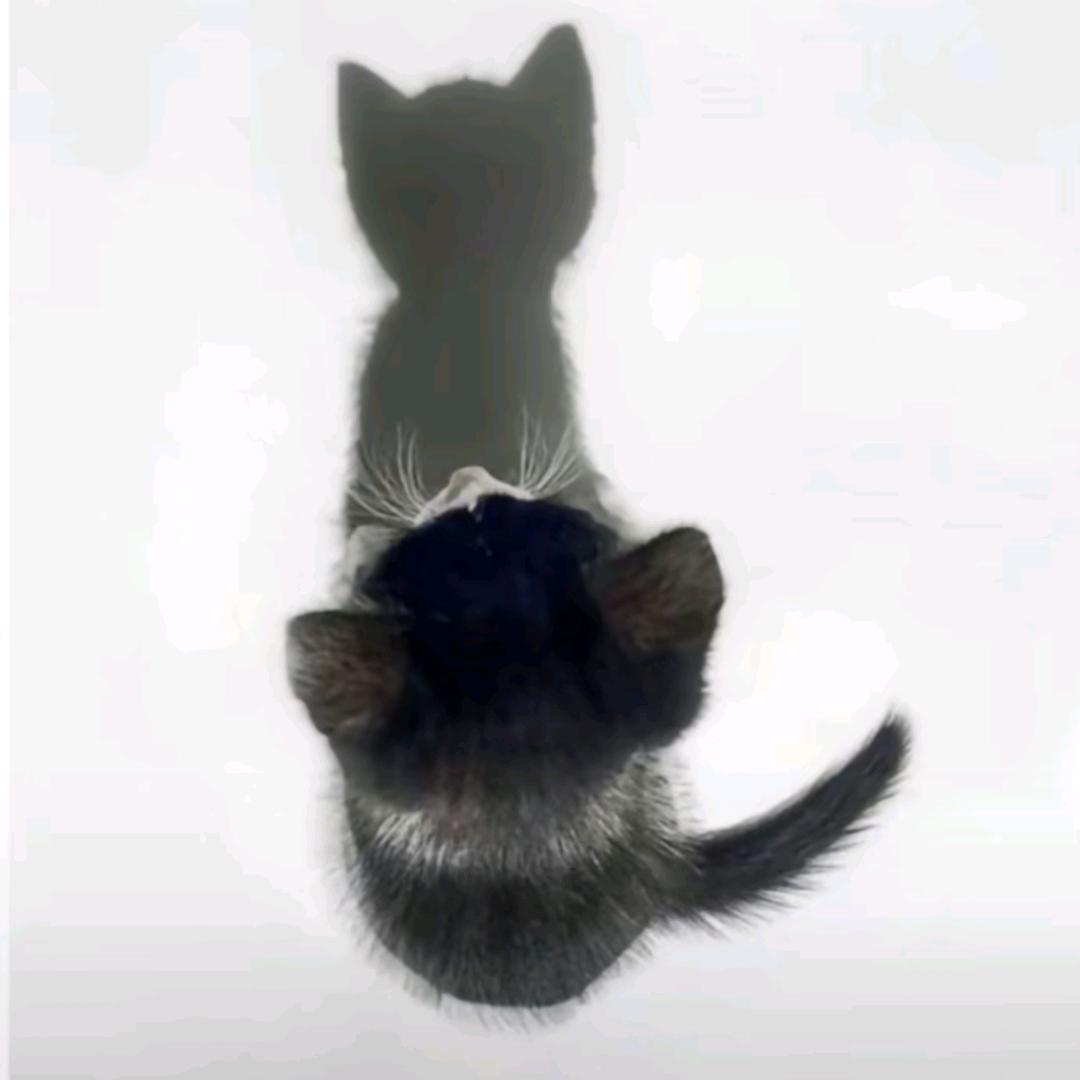 ‍:D