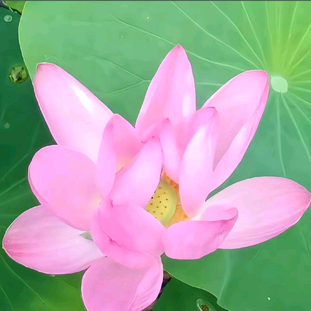 美好的幸福