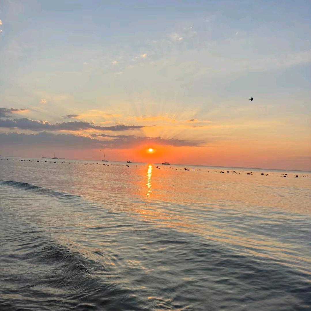 請ロㄐ锇畾珗笙