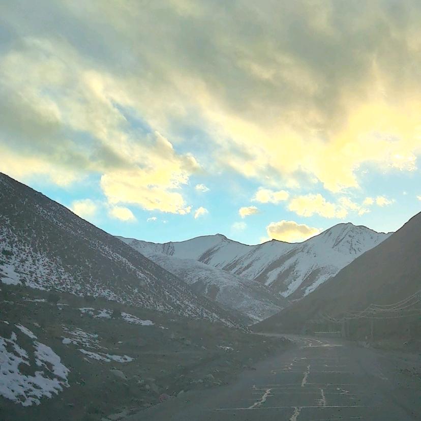 无骨晓丽唯一真爱粉