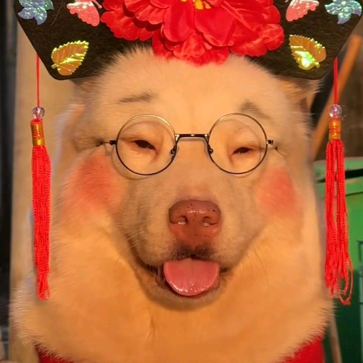 好的文西