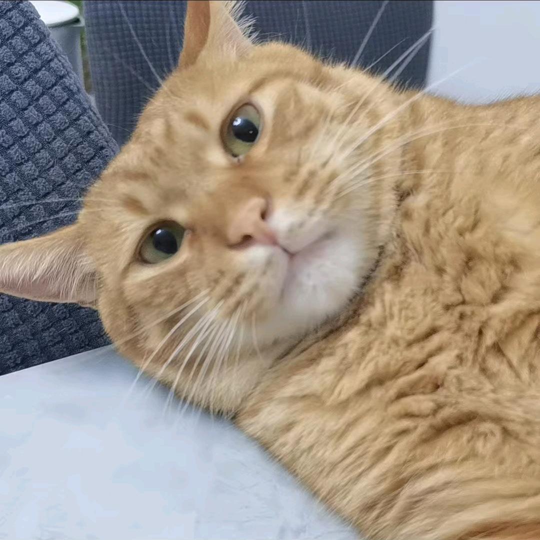 哈哈哈看看