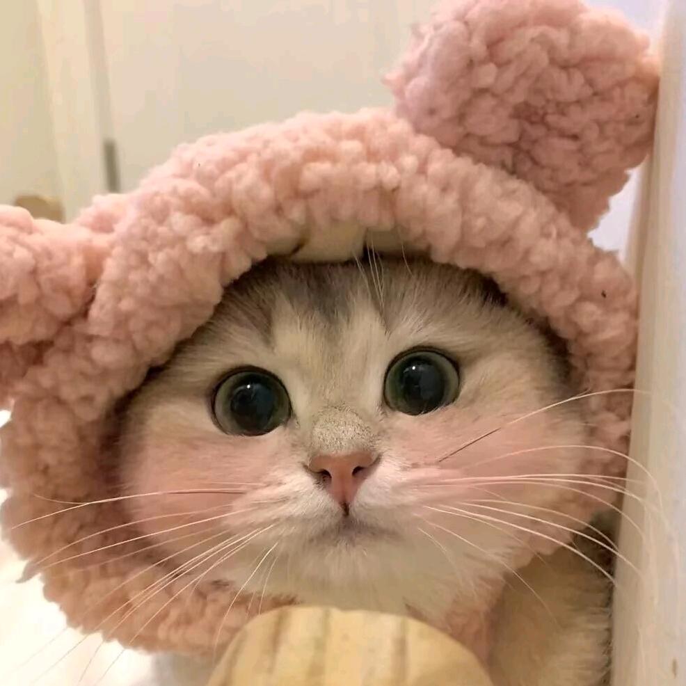 心❤