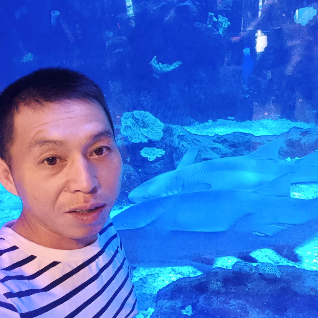 杨哥哥