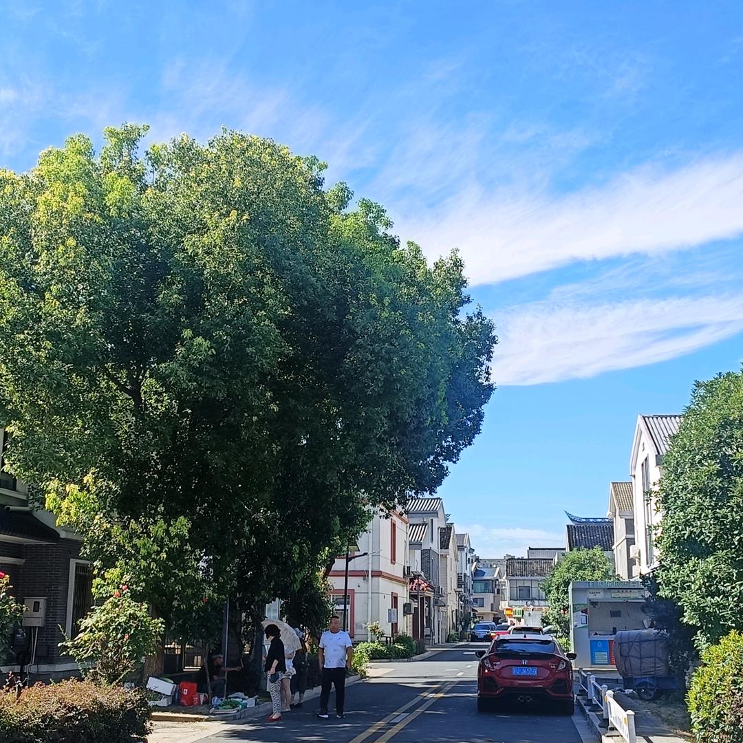 喝酸奶不舔奶盖