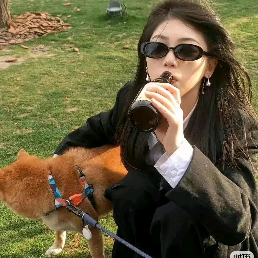 没人能拒绝我龙傲天