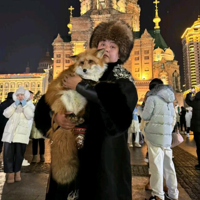 海龙家的白狐《思密达》海龙家的五常大米@抖音