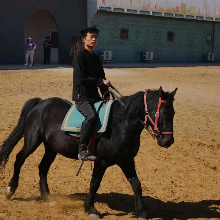 AAA信阳马术野骑