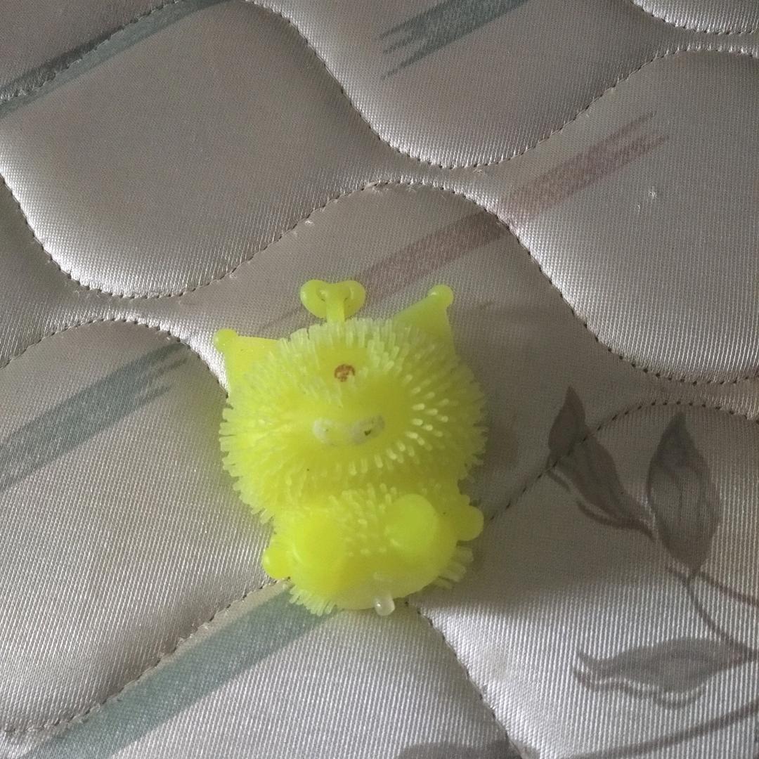 一个小豆芽