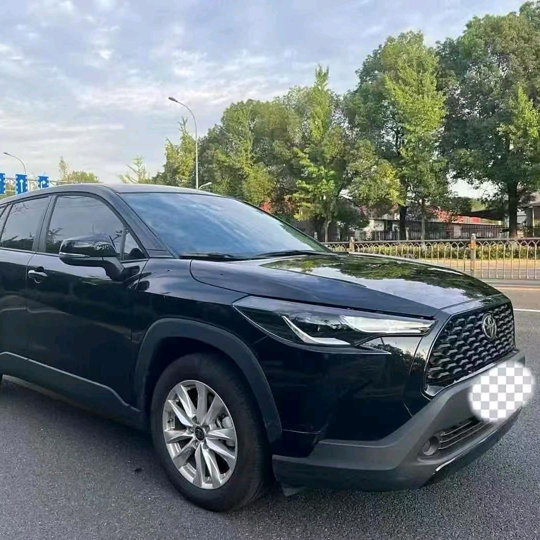 低价汽车销售经理