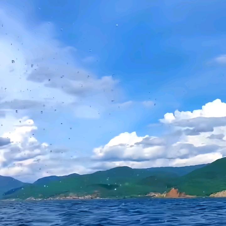 微念有财商贸号